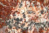 Polished Agate Replaced Barite Nodule Half - Utah #373492-2